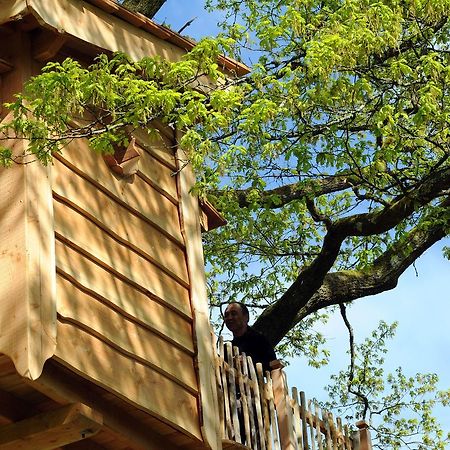 La Cabane Du Vieux Chene Susmiou 外观 照片