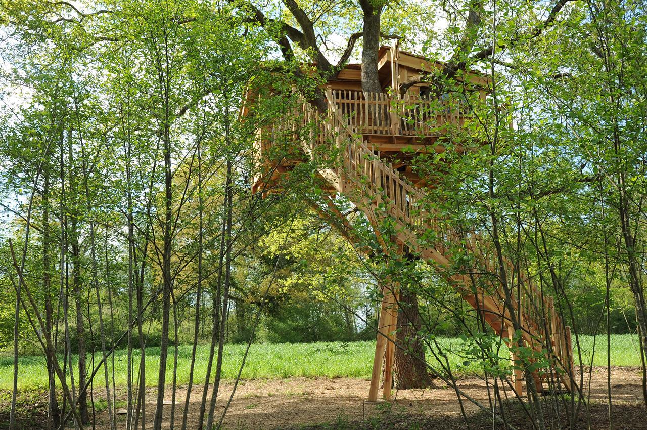 La Cabane Du Vieux Chene Susmiou 外观 照片